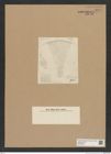 Diatomeae indet. Zeichnungen Sammlung Grunow Nr. 8971 (NHMW-BOT-W0378661)